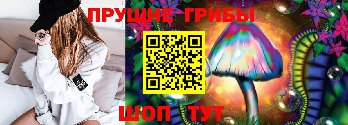 Коммунар  Галлюциногенные грибы Psilocybine cubensis  Вход с VPN 